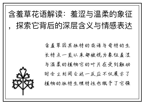 含羞草花语解读：羞涩与温柔的象征，探索它背后的深层含义与情感表达